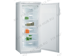 Холодильник Gorenje F6248W (363710, ZOS2466) - Фото